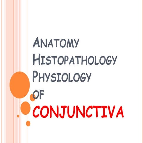 anatomy and pathophysiology of conjunctiva.pptx