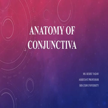 Conjunctiva: Anatomy, Physiology, and Clinical Significance