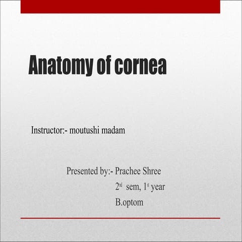Anatomy of cornea