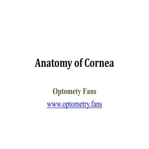 Anatomy of Cornea.pptx