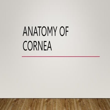 ANATOMY OF CORNEA FOR CONTACT LENS FITTING