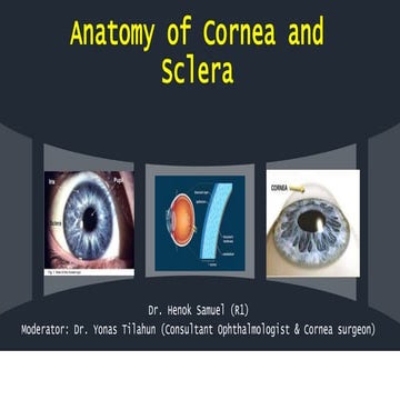 Anatomy of cornea and sclera