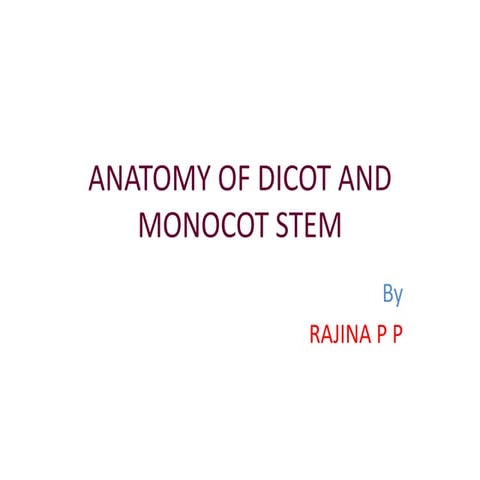 Anatomy of dicot and monocot stem
