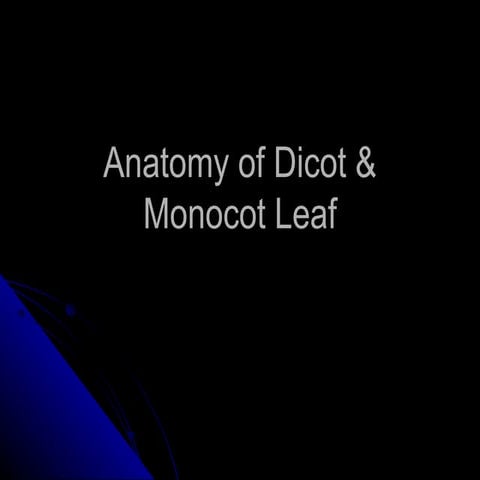 Anatomy of dicot & monocot leaf