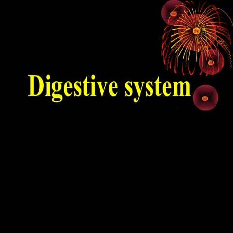 Anatomy of digestive system