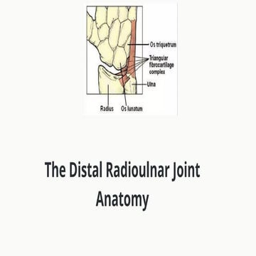 Anatomy of distal radioulnar joint and its function