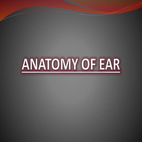 Anatomy Of Ear.pptx