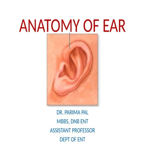 ANATOMY OF EAR.pptx (ENT) MBBS PRESENTATION | PPTX