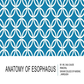 Anatomy of Esophagus for nursing student | PPTX