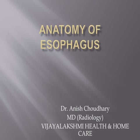 Anatomy of esophgus