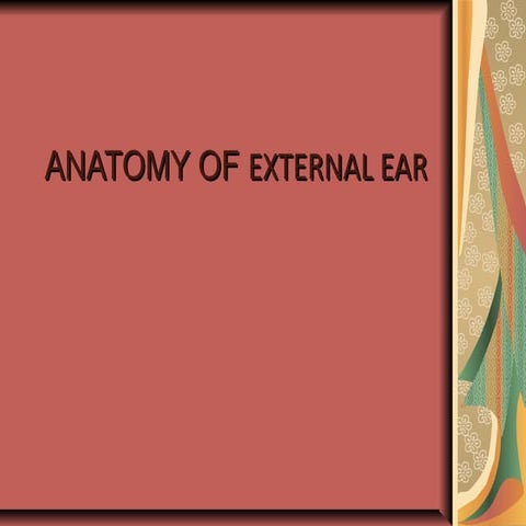 Anatomy of external ear