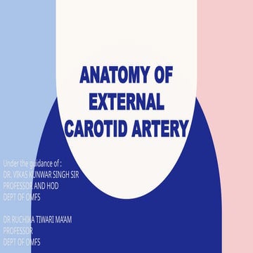 Anatomy of the external carotid artery (ECA) | PPT