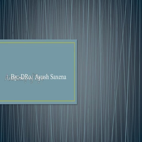 The Basic Anatomy of Eye and Eyeball 