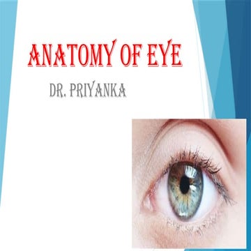 whole ANATOMY OF EYE with eye ball .pptx