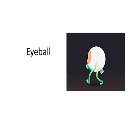 Anatomy of eyeball