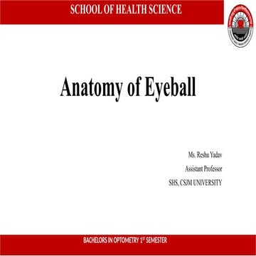 The Human Eyeball: Anatomy, Structure, and Clinical Significance