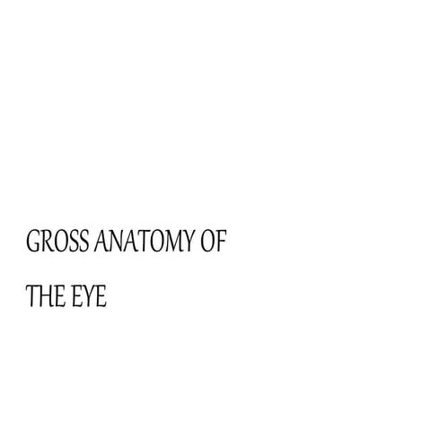 anatomy of eyeball  assignment presentation