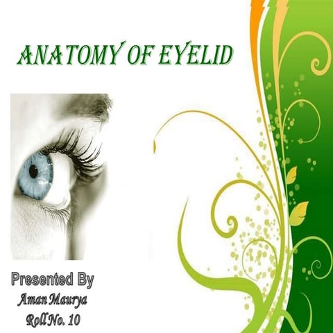 Anatomy of eyelid