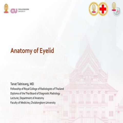 Anatomy of Eyelid