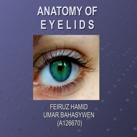 Anatomy of Eyelids 