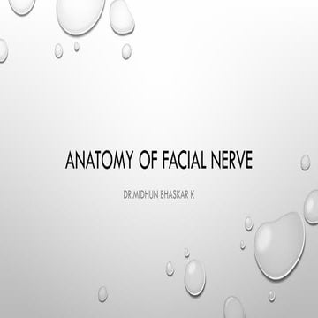 Anatomy and Clinical Examination of the Facial Nerve | PPTX