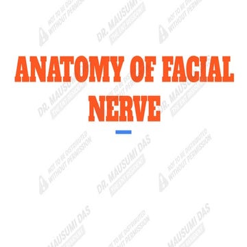 Comprehensive Anatomy and Functional Overview of the Facial Nerve (7th ...