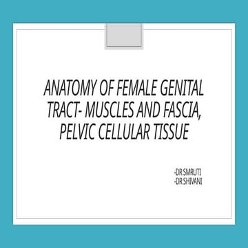 ANATOMY OF FEMALE GENITAL TRACT - OBSTETRICS