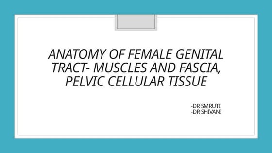 anatomy of Perineum urogenital triangle | PDF