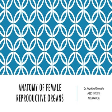 2.2 - External Genital Organs PPF.pdf
