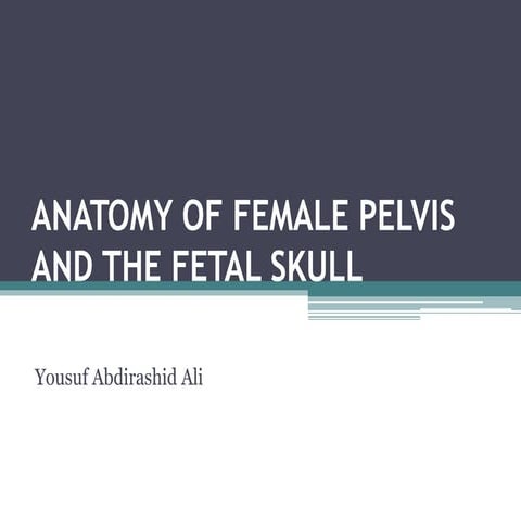 ANATOMY OF FEMALE PELVIS.pptx Biology Diagrams