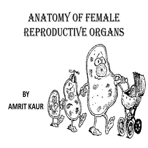Anatomy of female reproductive organs.pptx