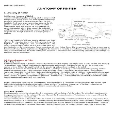 anatomy of finfish ecourse fisheries.docx