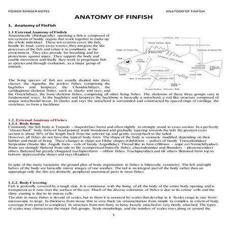 Anatomy of Finfish 2nd sem (full syllabus)