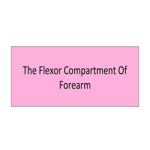 Anatomy of  flexor compartment of forearm 