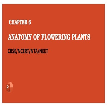 Anatomy of flowering plants