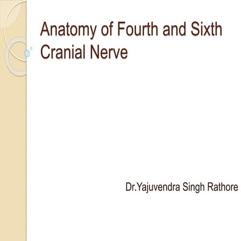 Anatomy of fourth and sixth cranial nerve 06.12.13