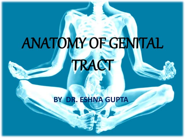 Anatomy and physiology vulva vagina.pptx