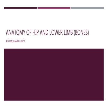 Anatomy of hip and lower limb bones