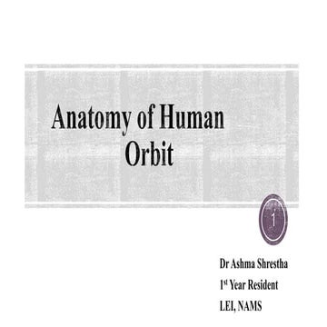 Anatomy of human orbit