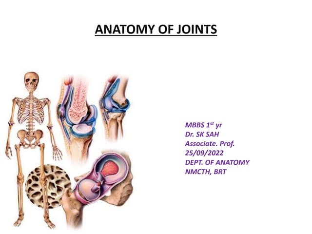 Anatomy of joints | PDF