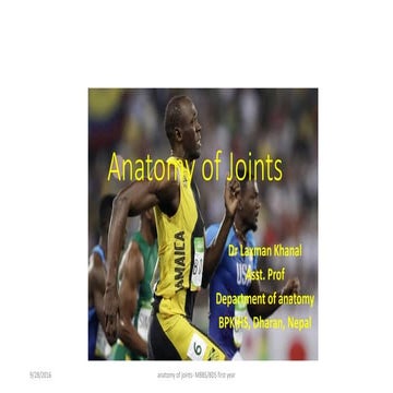 Anatomy of joints