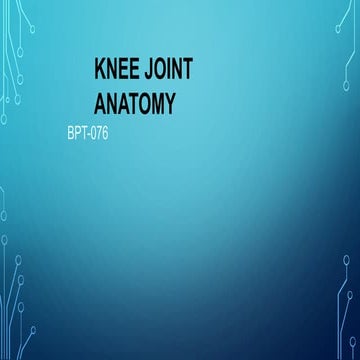 Comprehensive Anatomy and Function of the Human Knee Joint | PPTX