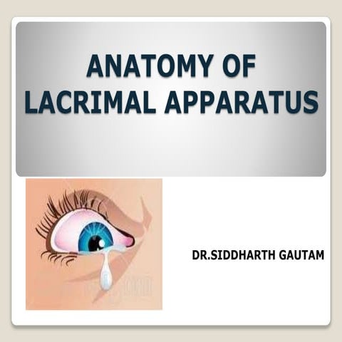 Anatomy of lacrimal apparatus