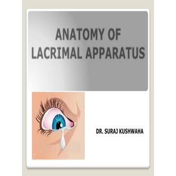 anatomy And Physiology of tear film | PDF