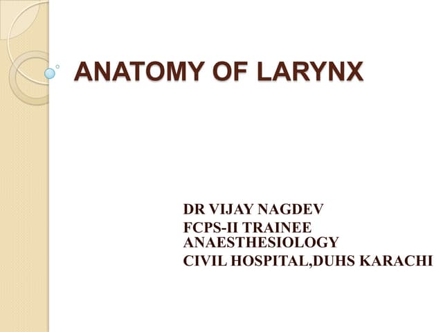 Anatomy of larynx
