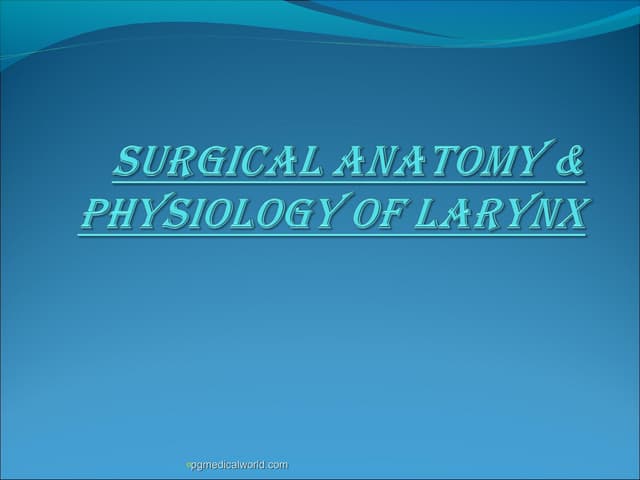 Anatomy of larynx