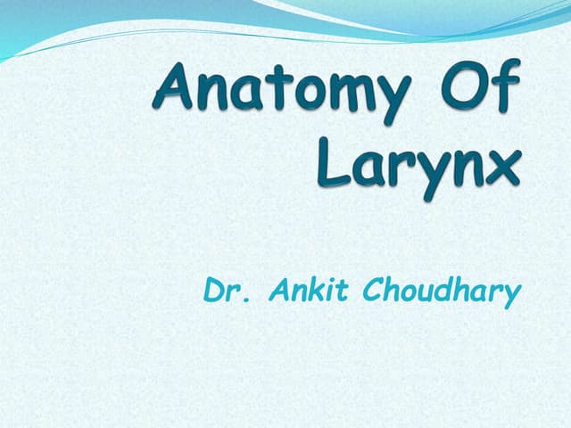 Anatomy of larynx