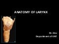 Anatomy of larynx