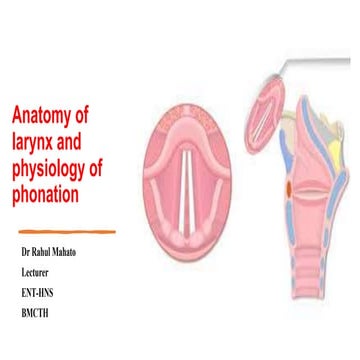 Phonatory System- Anatomy & Physiology.pptx