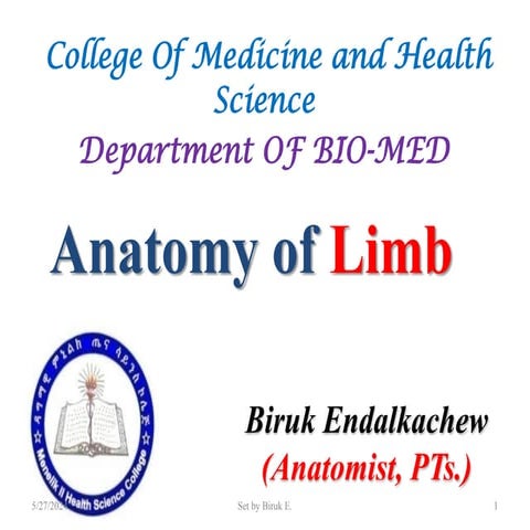 anatomy of limb( upper and lower limb).pdf